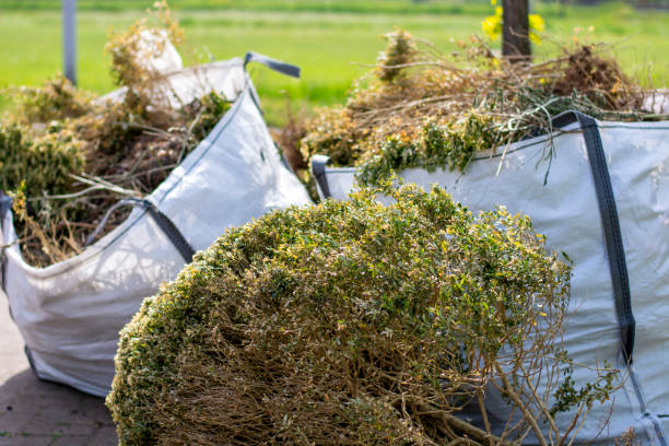 Best Construction Debris Removal  in Hot Springs, SD